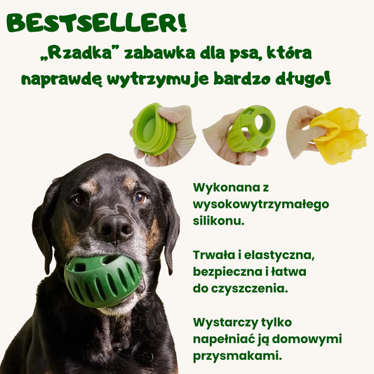 SmakuLa - Zajmij psa na dłużej – bez stresu i chaosu w domu